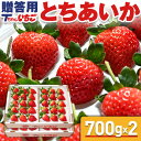 いちご 苺 とちあいか　ホール詰め 700g x 2箱 (計1.4kg) (贈答用)　／栃木県産 とちあいか 送料無料 苺 イチゴ 予約 生いちご 栃木産イチゴ Tちゃん お祝い 内祝い 食べ物 贈答品 プレゼント ギフト お取り寄せ