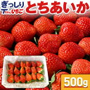 いちご 苺 とちあいか　ぎっしり詰め500g x 1箱　／栃木産 とちあいか いちご とちあいか 送料無料 苺 イチゴ 不揃い 予約 生いちご tちゃん お祝い 会社 職場 大量 法人 果物 内祝い お返し プレゼント ギフト 御見舞 お取り寄せ