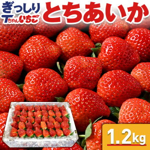 【栃木いちご】栃木県産の甘くて美味しい苺のおすすめは？