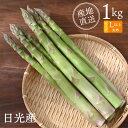 【予約(7月・8月・9月)】夏芽 アスパラガス 1kg Lサイズ | 送料無料 産地直送 グリーンアスパラガス 夏野菜 野菜 やさい プレゼント ギフト 国産 栃木県産 日光産 贈答用 お取り寄せ