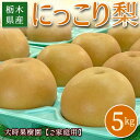 【予約】にっこり 梨 5kg箱 (家庭用) 送料無料 なし 梨 予約 秋の味覚 果物 くだもの フルーツ 旬 贈り物 ギフト プレゼント 冬ギフト お祝い 結婚...