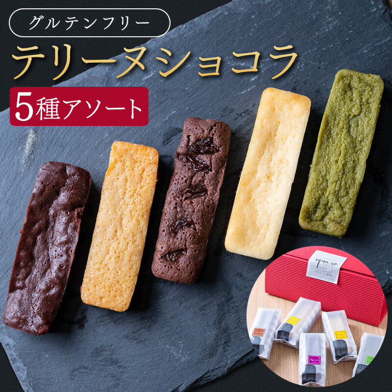 テリーヌショコラ 5種セット (チョコレート・チーズ・抹茶・バナナ・ラムレーズン)　送料無料 冷凍 グルテンフリー お菓子 洋菓子 スイーツ アソート おつまみ 母の日 父の日 春ギフト 2024 3000円 ギフト プレゼント 誕生日 お取り寄せ【WS】