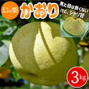 【予約】梨 かおり 3kg箱 送料無料 なし 梨 予約 秋の味覚 果物 くだもの フルーツ 旬 贈り物 ギフト プレゼント 冬ギフト お祝い 内祝い お返し お礼 産直 お取り寄せ【WS】【BK】