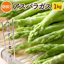 アスパラガス 約1kg | 送料無料 夏芽 アスパラ 1キロ 野菜 旬の野菜 国産 栃木産 産地直送 産直 農家直送 グルメ お取り寄せ【WS】