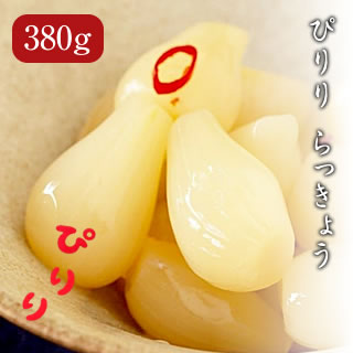 小玉 徳用 蔵出し ぴりりらっきょう (中) 380g【日光 ろばたづけ】 漬物 会社 職場 大量 法人 食べ物 秋ギフト お歳暮 2025 御歳暮 冬ギフト ...