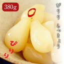 小玉 徳用 蔵出し ぴりりらっきょう (中) 380g【日光 ろばたづけ】 漬物 会社 職場 大量 法人 食べ物 母の日 父の日 バレンタイン ホワイトデー 2...
