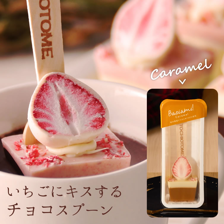 バーチャミ (キャラメル) ホットチョコスプーン ホットチョコレート ホットドリンク チョコスティック 苺 いちご イチゴ イベント 景品 プレゼント ギフト プチギフト 会社 職場 法人 お祝い 内祝い お返し お土産 お取り寄せ