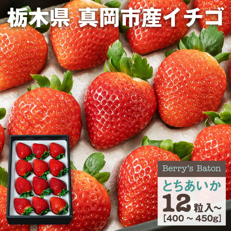 【予約／1月より発送】いちご とちあいか 黒箱 | 送料無料 いちご 苺 イチゴ 生いちご プレゼント ギフト お祝い 内祝い お取り寄せ 栃木県産 栃木産【WS】