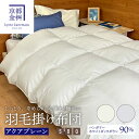 羽毛掛ふとん 本掛け アクアプレーン 立体キルト ハンガリーホワイトダックダウン90% 寝具 冬用 羽毛布団 高級羽毛布団 冬用 ギフト プレゼント お祝い 内...