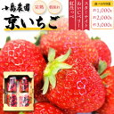 いちご 京いちご ( 選べる容量 1kg / 2kg / 3kg ) | 送料無料 いちご 苺 イチゴ 高級いちご 高級苺 生いちご 果物 フルーツ 旬の果物 ...