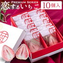 恋する いちご プレミアム 10個入 | チョコレート 苺 お菓子 苺トリュフ スイーツ イチゴ チョコ 配る 個包装 母の日 父の日 春ギフト 義理チョコ おしゃれ イベント 会社 職場 大量 法人 プレゼント お祝い 内祝い ギフト お返し お取り寄せ あす楽