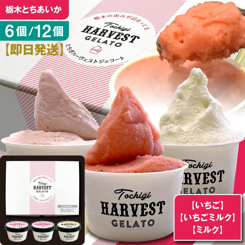 アイス ギフト ジェラート 詰め合わせ 「Harvest Gelato」 (6個・12個)　誕生日 母の日 2026 父の日 お中元 御中元 夏ギフト 高級 おしゃれ 送料無料 アイスクリーム いちごジェラート アイスセット お祝い 内祝い お取り寄せ スイーツ