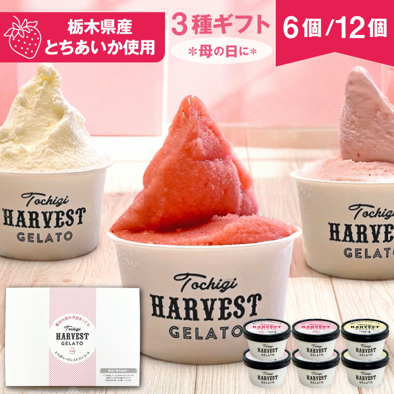 アイス ギフト ジェラート 詰め合わせ 「Harvest Gelato」 (6個・12個)　誕生日  ...