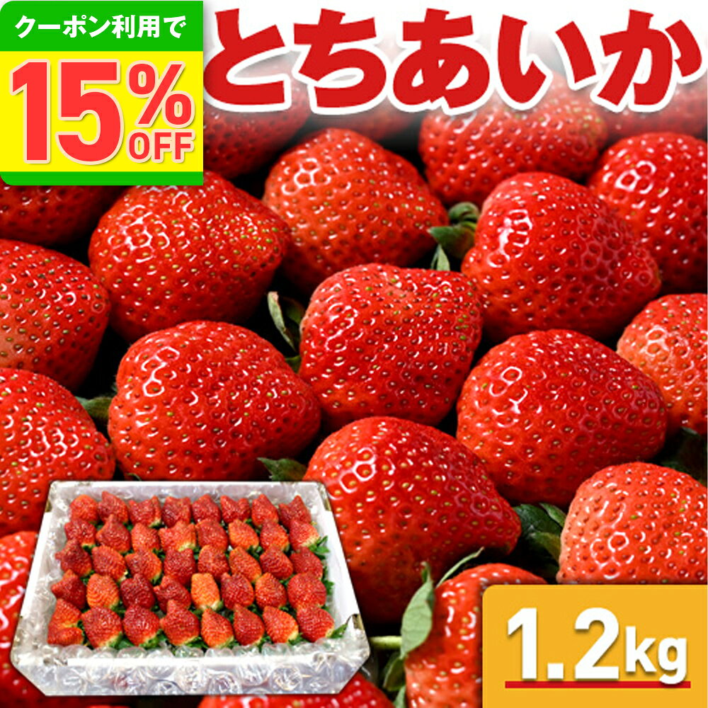 いちご 苺 とちあいか　ぎっしり詰め1.2kg x 1箱　／