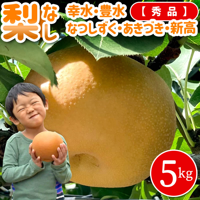 梨 5kg箱 (秀品) 送料無料 なし 梨 予約 幸水 なつしずく 豊水 あきづき 秋月 幸水梨 豊水梨 新高 新高梨 にいたか 秋の味覚 果物 くだもの フルーツ 旬 贈り物 ギフト プレゼント 春ギフト お祝い 内祝い お返し お礼 産直 お取り寄せ【WS】【BK】