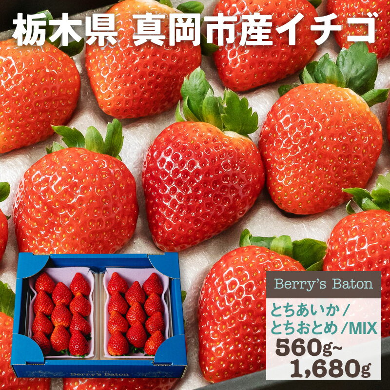 いちご 青箱(平パック入2P) | 選べる(とちあいか or とちおとめ or ミックス) 送料無料 いちご 苺 イチゴ 生いちご 食べ比べ 旬の果物 フルーツ プレゼント ギフト お祝い 内祝い お取り寄せ 栃木県産 栃木産【WS】