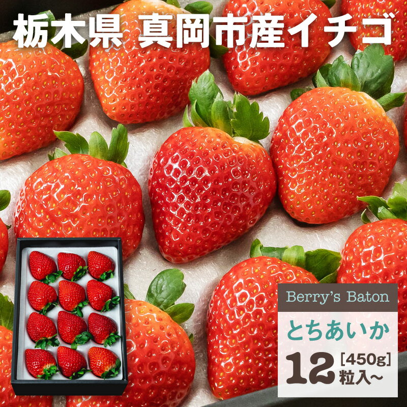いちご とちあいか 黒箱 | 送料無料 いちご 苺 イチゴ 生いちご 高級 プレゼント ギフト お祝い 内祝い お取り寄せ 栃木県産 栃木産【WS】