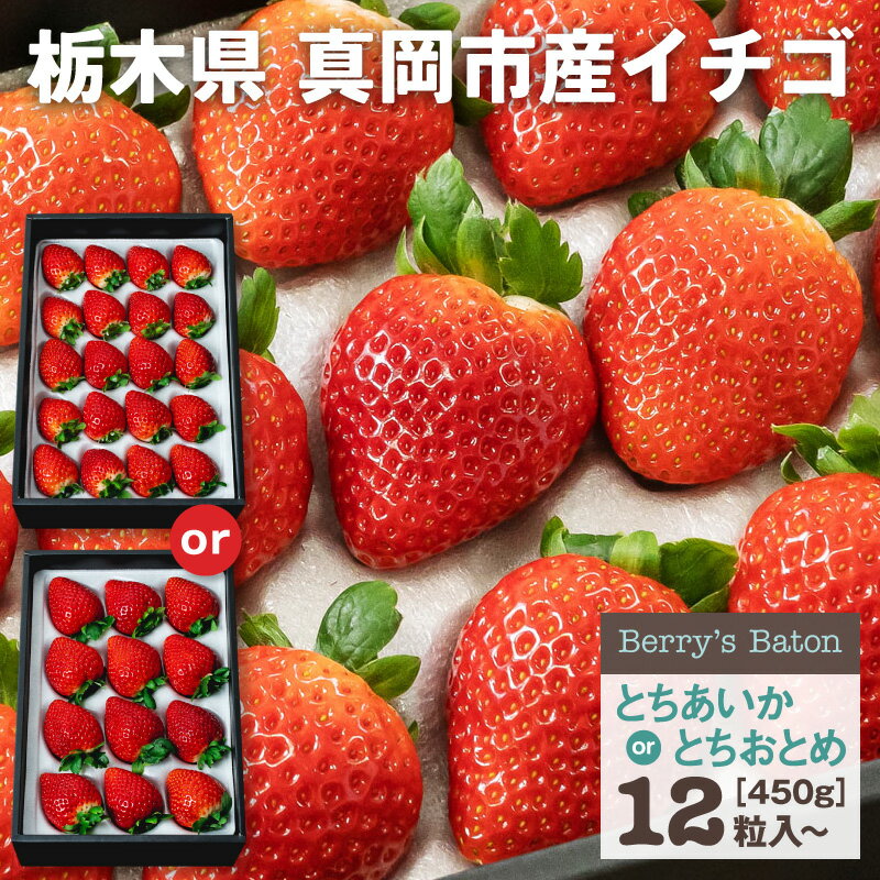 いちご 黒箱　品種選べる (とちあいか or とちおとめ)　 | 送料無料 いちご 苺 イチゴ 生い ...