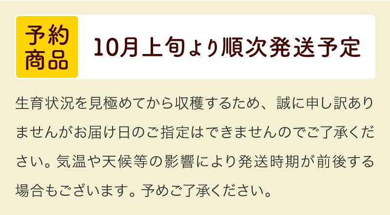 【10月発送 先行予約】アールスメロン ［Lサイズ or 2Lサイズ］ 1玉〜2玉　　送料...