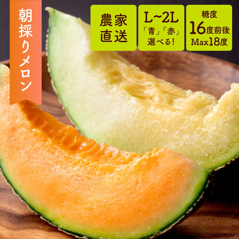 【10月発送 先行予約】アールスメロン ［Lサイズ or 2Lサイズ］ 1玉〜2玉　　送料...