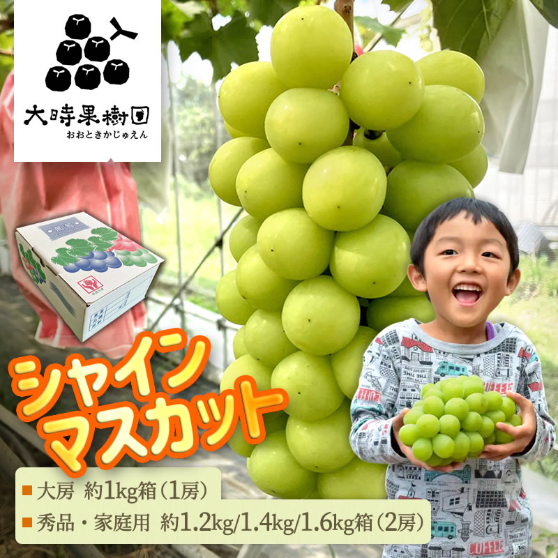 楽天市場】シャインマスカット 大房の通販