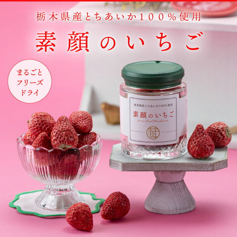 素顔のいちご　 |　 いちご お菓子 苺 スイーツ イチゴ 配る おしゃれ 国産 イベント 会社 職場 大量 法人 プレゼント プチギフト お祝い 内祝い ギフト お取り寄せ 2