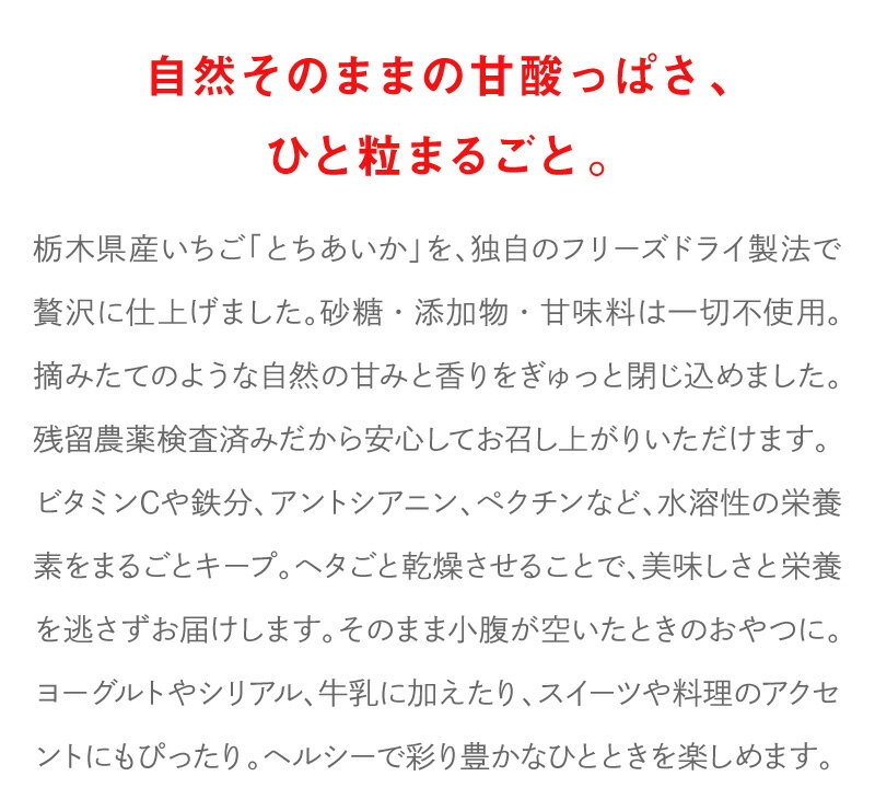 �Ǵ�Τ������� |�� ������ ���ۻ� �� �������� ������ �ۤ� ������� �� ���٥�� ��� ���� ���� ˡ�� �ץ쥼��� �ץ����ե� ���ˤ� ��ˤ� ���ե� ������