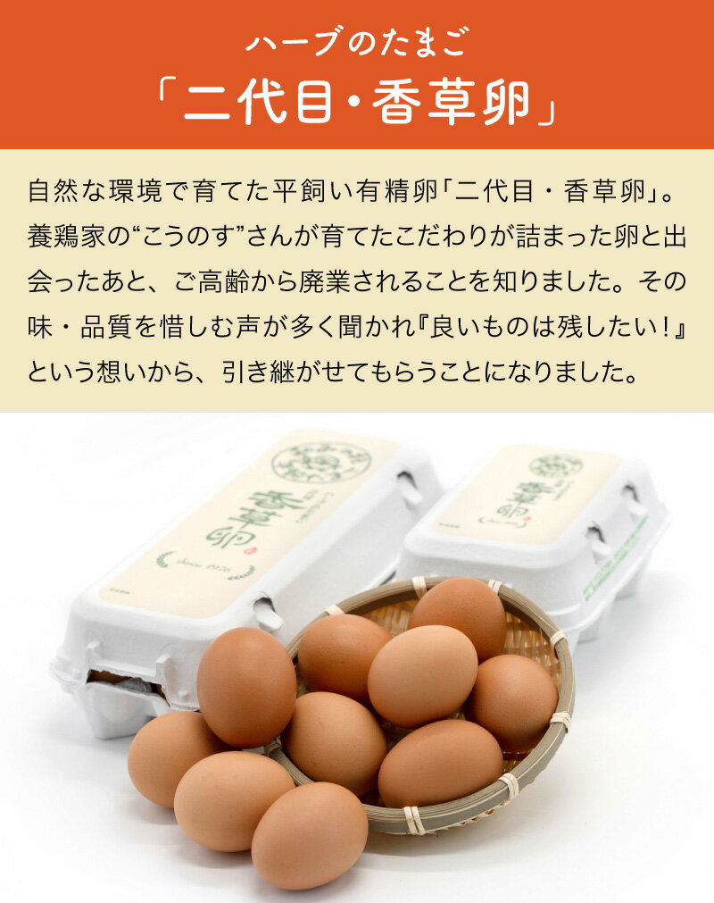 �� ���եȡ�ʿ����ͭ���� �����ܡ�����������Ϥ��ߤ����񤫤����Ӥξ��� �ͤ��碌�ӡ�����̵�� ʿ�������ޤ� ǻ�� ���� ���� ��ľ �񥻥å� ����� �� ���� �ϡ����� ���ޥ� �̻� ��̣������ £��ʪ �ץ쥼��� ���ե� ���ˤ� ��ˤ� ������ �����