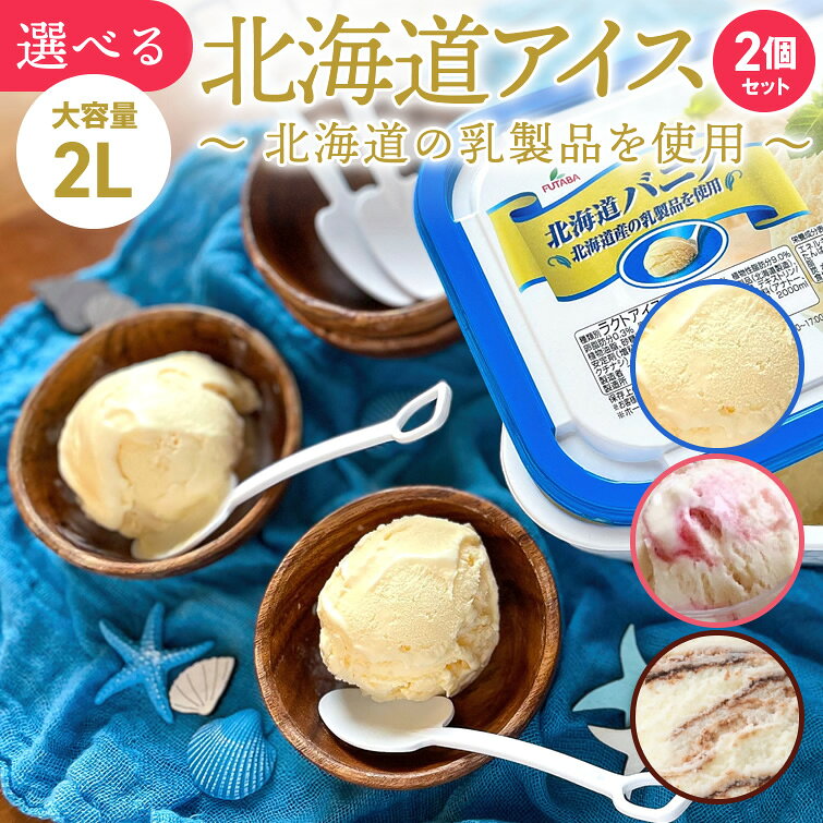 北海道アイス 2L×2個セット (選べる6パターン)　送料無料 アイス バニラ チョコマーブル いちごマーブル バット イベント 景品 会社 大量 法人 BBQ バーベキュー パーティー 子供会 業務用 大容量 スイーツ デザート 夏ギフト お中元 御中元 暑中見舞い 2026 お取り寄せ