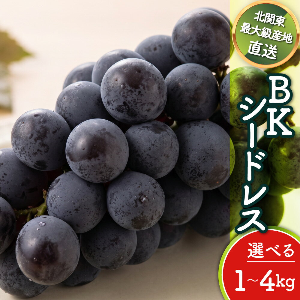 楽天市場】ハニービーナス（ブドウ｜フルーツ・果物）：食品の通販