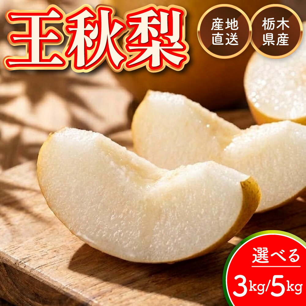 食品 【みーやん様専用】 梨 KOs 同梱商品