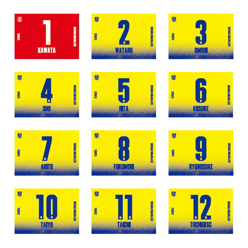 栃木SC ブランケット