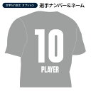 栃木SC 文字入れ加工〈選手ナンバー&ネーム〉