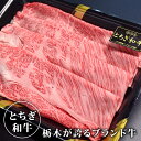 とちぎ和牛 肩ローススライス しゃぶしゃぶ すき焼き用 送料無料 和牛 国産牛 牛ロース 牛肉 母の日 父の日 春ギフト 2024 【BK】