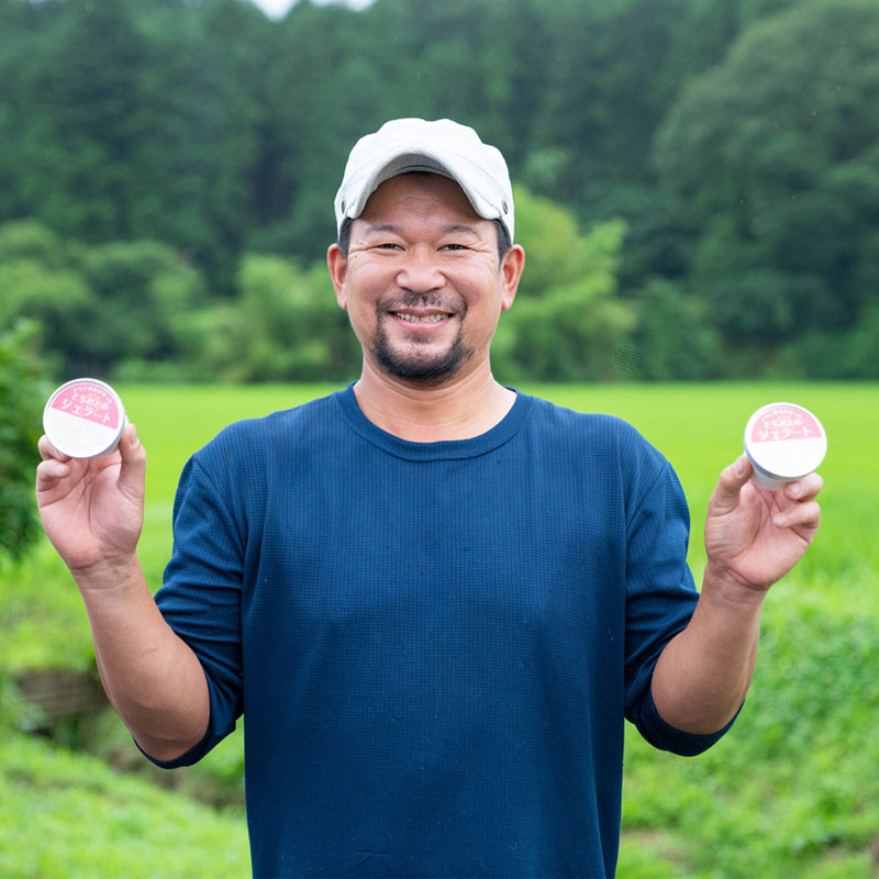栃木のタウン誌厳選 もんみや通販のとちおとめジェラート　6個｜アイス アイスクリーム 氷菓 いちご イチゴ 苺 セット 詰め合わせ【WS】｜アングル2