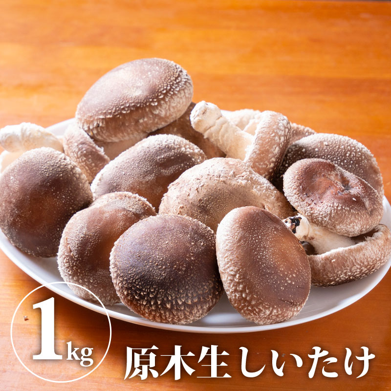 【送料無料】原木生しいたけ　さま