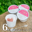 【送料無料】とちおとめジェラート 6個|アイス アイスクリーム 氷菓 いちご イチゴ 苺 セット 詰め合わせ【WS】