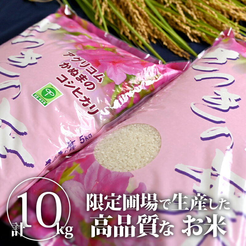 【送料無料】【クーポン利用で20％OFF】さつきの舞｜米 お米 10kg｜新米 白米 米 お米 10kg 令和2年産 令和二年産 令和2年 令和二年 栃木産 さつきの舞 こしひかり コシヒカリ 国産 栃木県産【TSM】