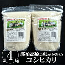 精米（栃木湯津上コシヒカリ）4kg（2kg×2）｜令和3年産 白米 米 お米 4kg 栃木産 コシヒカリ こしひかり 国産 栃木県産