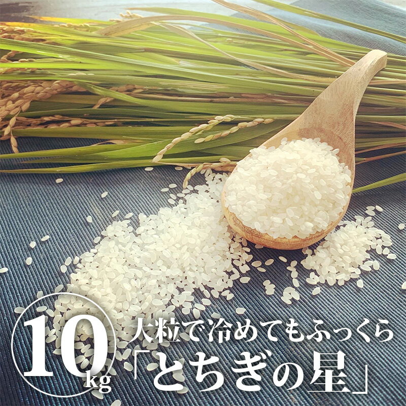 【送料無料】とちぎの星（精米）10kg｜白米 米 お米 10kg 令和3年産 令和三年産 令和三年 とちぎの星 とちぎのほし 国産 栃木産 栃木県産【BK】