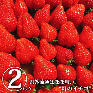 【送料無料】とちひめ 2パック（猪野さんちのいちご農園）ギフト可｜いちご イチゴ 苺 とちひめ 幻のいちご 幻のイチゴ 大粒 果物 くだもの フルーツ 旬のくだもの 旬の果物 旬 2パック入り 国産 栃木県産 栃木産 【WS】【icp】