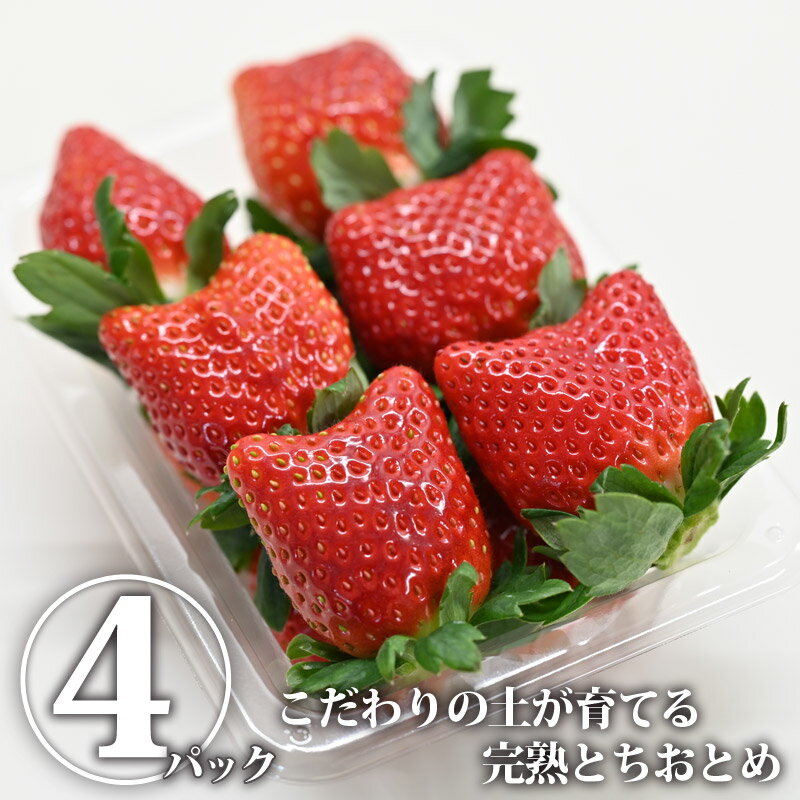 楽天市場】【送料無料】とちおとめ 4パック (鈴木いちご園) | いちご イチゴ 苺 完熟 果物 くだもの フルーツ 旬のくだもの 旬の果物 旬 国産 栃木県産 栃木産【WS】【icp】(栃木のタウン誌厳選 もんみや通販) | みんなのレビュー・口コミ 楽天市場】【送料無料】とちおとめ 4パック (鈴木いちご園) | いちご イチゴ 苺 完熟 果物 くだもの フルーツ 旬のくだもの 旬の果物 旬 国産 栃木県産 栃木産【WS】【icp】(栃木のタウン誌厳選 もんみや通販) | みんなのレビュー・口コミ