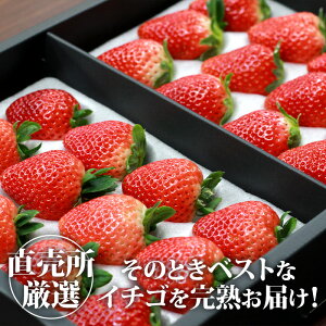 おうちで いちごビュッフェ お取り寄せして楽しい いちご食べ比べのおすすめランキング わたしと 暮らし おうちで いちごビュッフェ お取り寄せして楽しい いちご食べ比べのおすすめランキング わたしと 暮らし