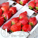 【送料無料】とちおとめ（ゆいファーム）｜いちご イチゴ 苺 とちおとめ 果物 くだもの フルーツ 4 ...