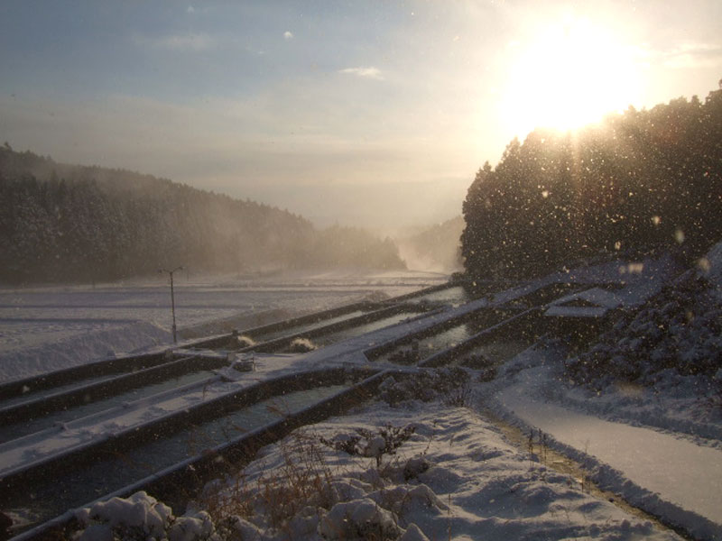 ��ɬ�����Ϥ���������򤪴ꤤ���ޤ��ۥץ�ߥ���䥷���ޥ� ��1�� | ����̵�� �ޥ� �ޤ� �� ������� �����ϥ������ 1ɤ �֥��ɵ� ���� �� ��� �� ������ ������BK��