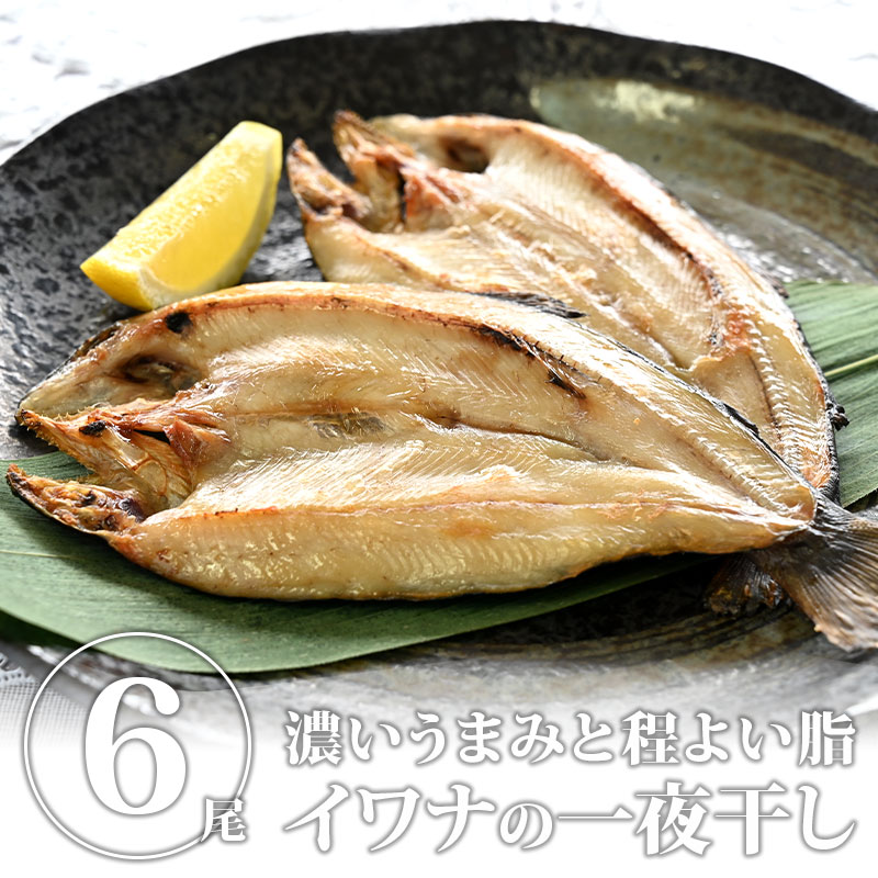 イワナの一夜干し | 送料無料 冷凍 岩魚 いわな 魚 川魚 お取り寄せ グルメ【BK】