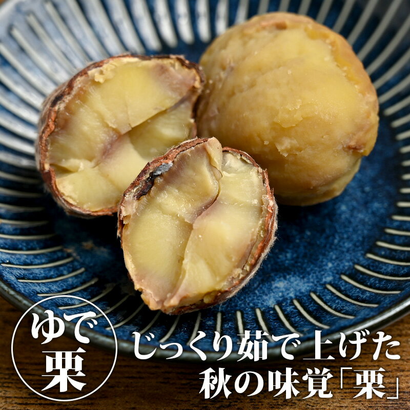 ゆで栗 1kg（500g×2） | 茹で栗 栗 くり 和栗 国産 秋の味覚 果物 くだもの お取り寄せ グルメ【WS】