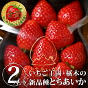 【送料無料】とちあいか（自宅用・平パック）（美土里農園）｜いちご イチゴ 苺 旬の果物 栃木県産 栃木産 国産【WS】【icp】