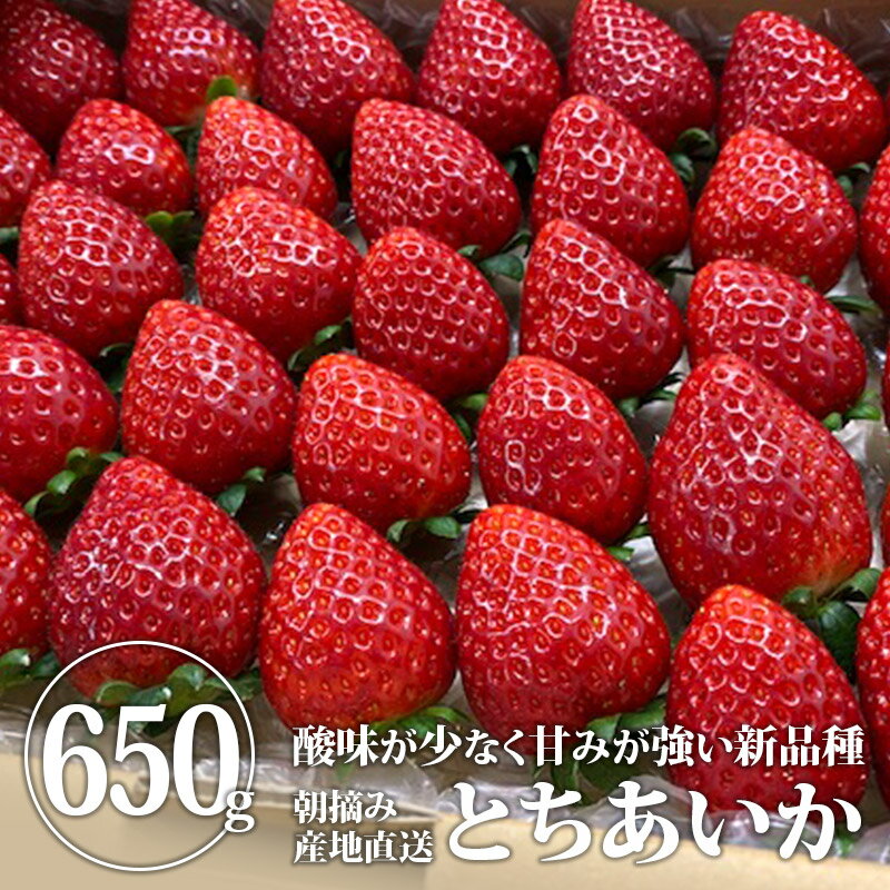 【送料無料】完熟とちあいかバラ詰め 650g＊数量限定 (鈴木いちご園) | いちご イチゴ 苺 農家 直送 完熟 果物 くだもの フルーツ 旬のくだもの 旬の果物 旬 国産 栃木県産 栃木産 お取り寄せ【WS】【icp】