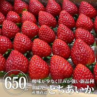 【送料無料】完熟とちあいかバラ詰め 650g＊数量限定 (鈴木いちご園) | いちご イ...